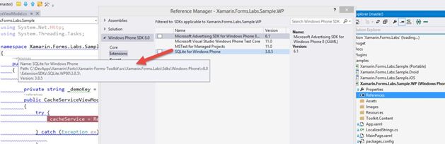 path for the SDK Extension